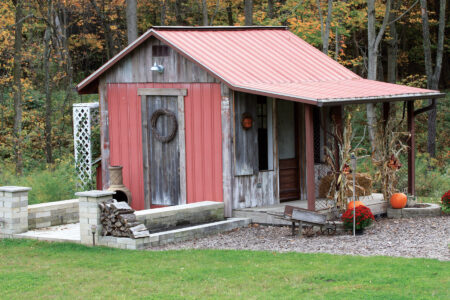red garden shed with chopped wood and decorative dried plants out front